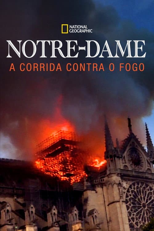 Notre Dame: A Corrida Contra o Fogo