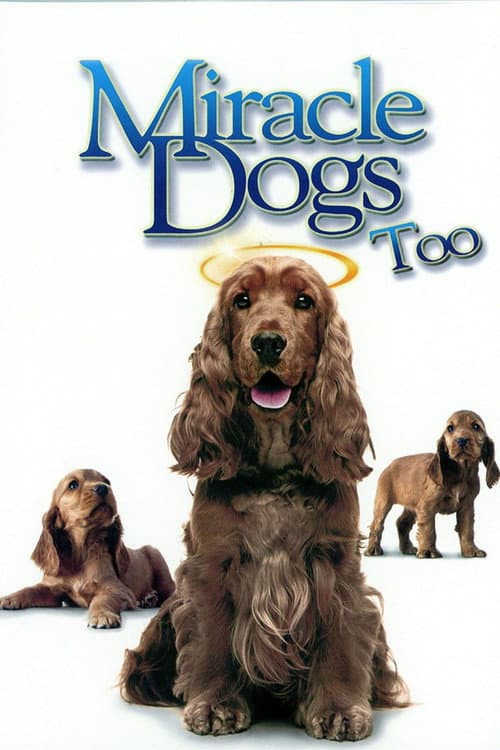 Dois cachorrinhos Milagrosos