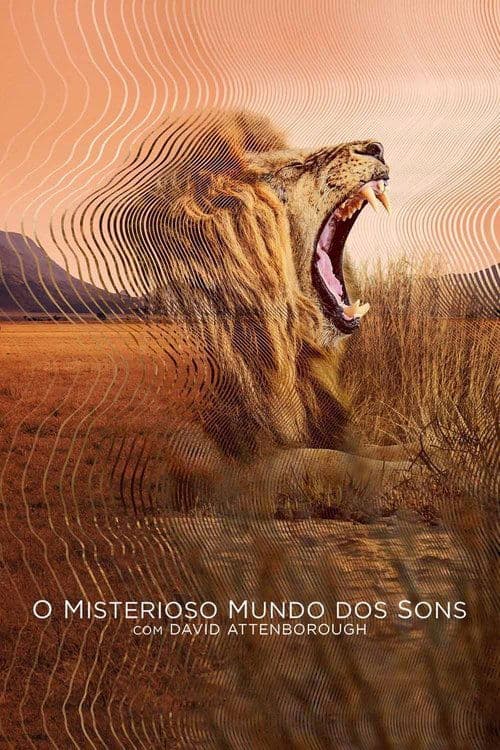 O Misterioso Mundo dos Sons