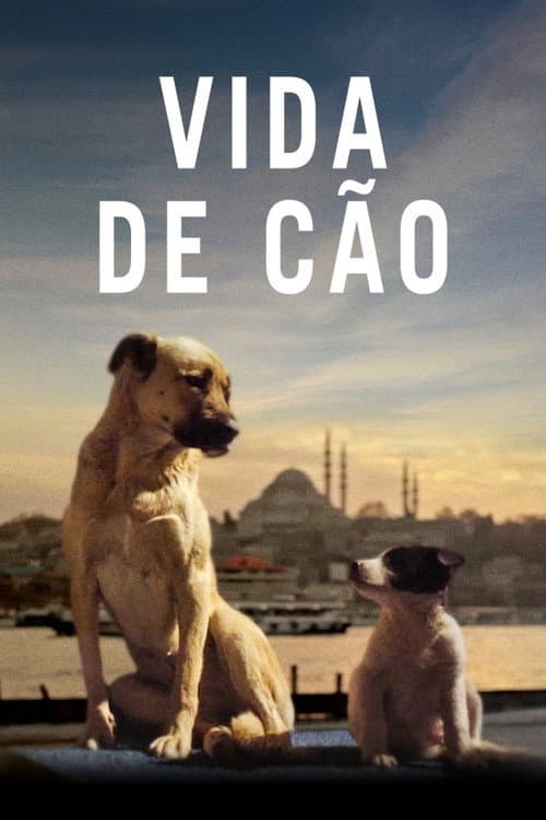 Vida de Cão