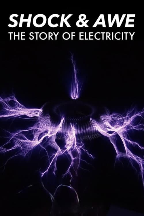 Choque e Temor: A História da Eletricidade