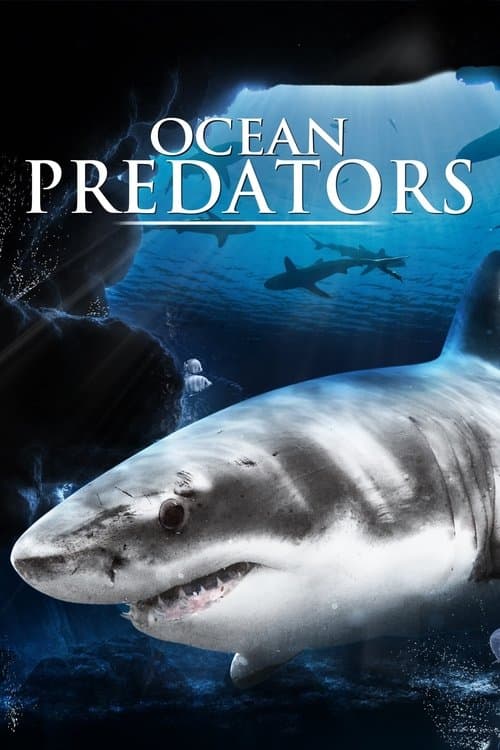 Predadores Perigosos - Os Mais Temidos Dos Oceanos