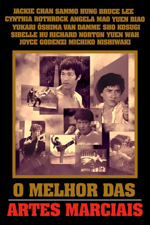 O Melhor das Artes Marciais