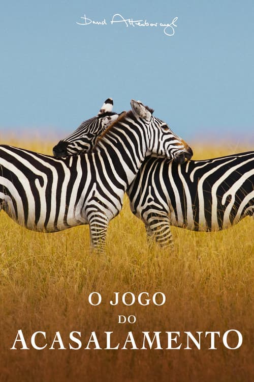 O Jogo do Acasalamento