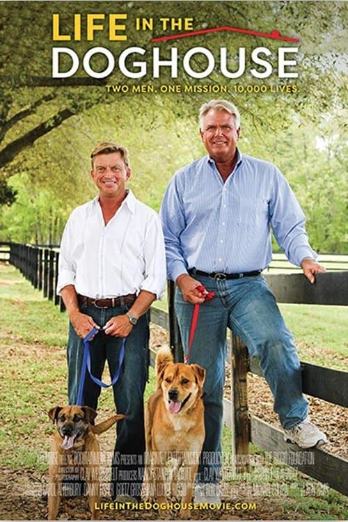 A Casa é dos Cachorros