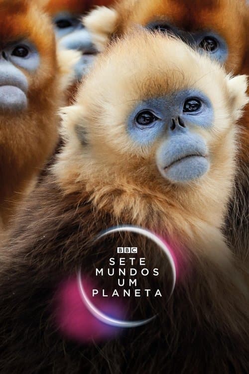 Sete Mundos, um Planeta