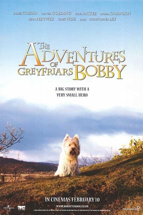 As Aventuras de Bobby