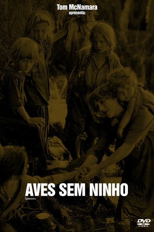 Aves Sem Ninho