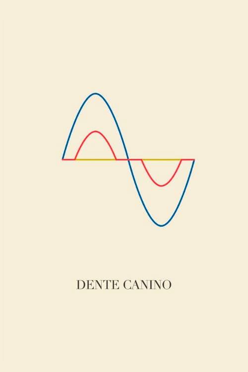 Dente Canino