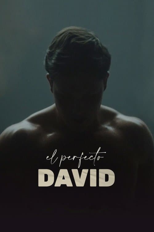 O Perfeito David