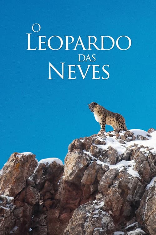 O Leopardo das Neves