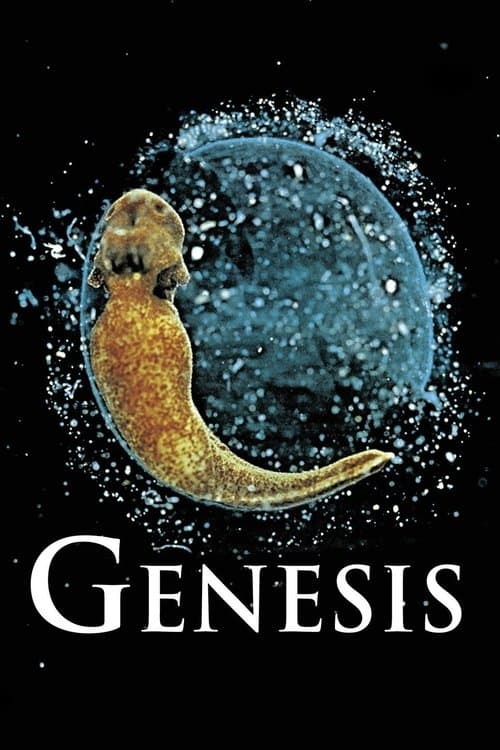 Gênese