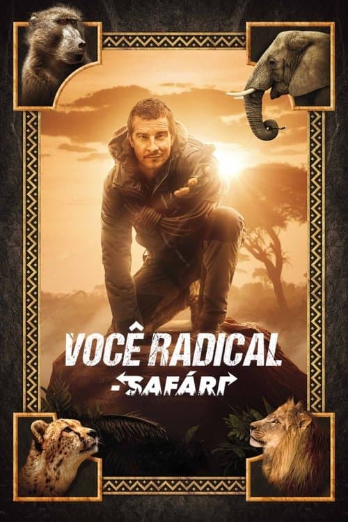 Você Radical - Safári