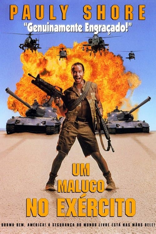 Um Maluco no Exército