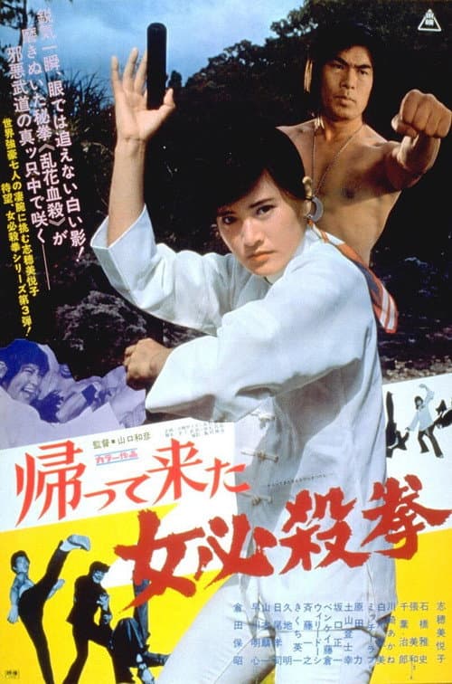 The Return of the Sister Street Fighter